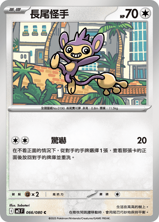 M2F 066/080 | 長尾怪手 | C | CT