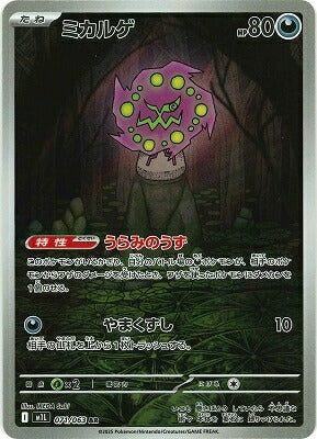 M1L 071/063 | ミカルゲ | AR | JP