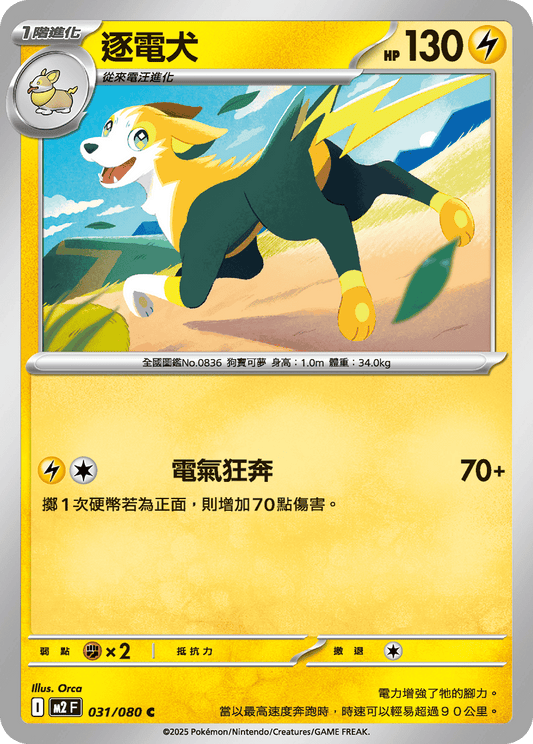 M2F 031/080 | 逐電犬 | C | CT