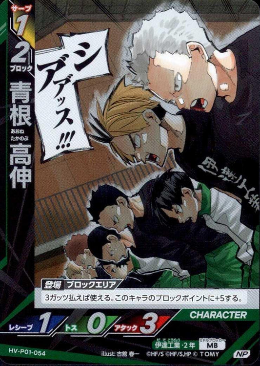 HV-P01-054 | 青根 高伸 | NP
