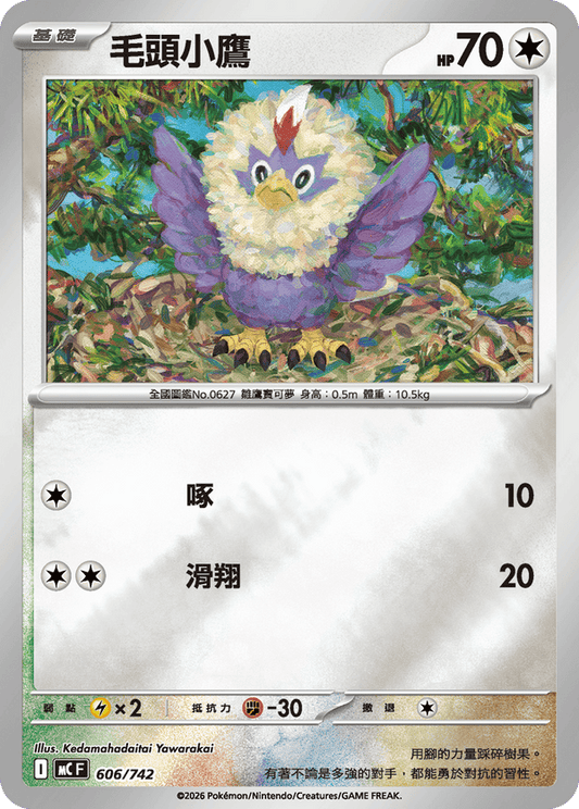 MCF 606/742 毛頭小鷹