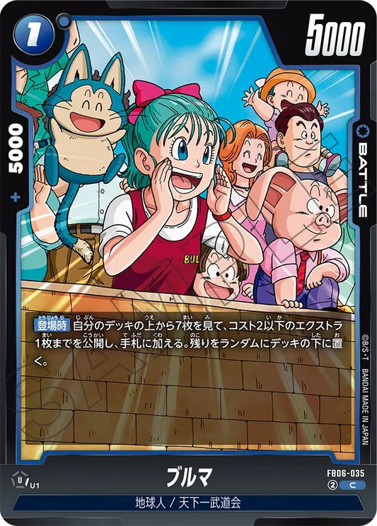 FB06-035  |  ブルマ  | C