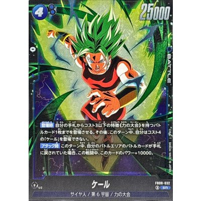 FB08-032 ケール | SR | JP