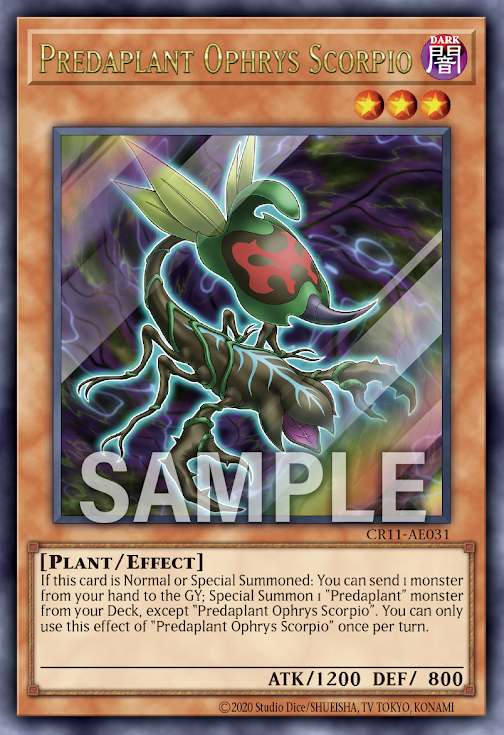 CR11-AE031 | Predaplant Ophrys Scorpio(捕食植物 蜂蘭蠍) | UR