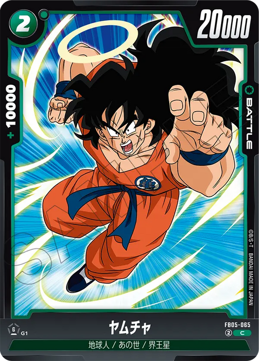FB05-065  |  亞姆  | C