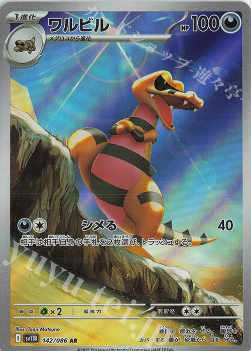 SV11B 142/086 | ワルビル | AR | JP