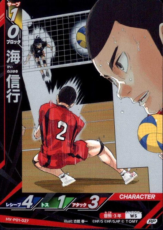 HV-P01-027 | 海 信行 | RP