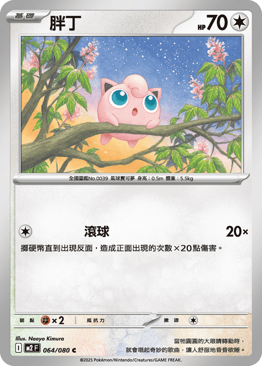 M2F 064/080 | 胖丁 | C | CT