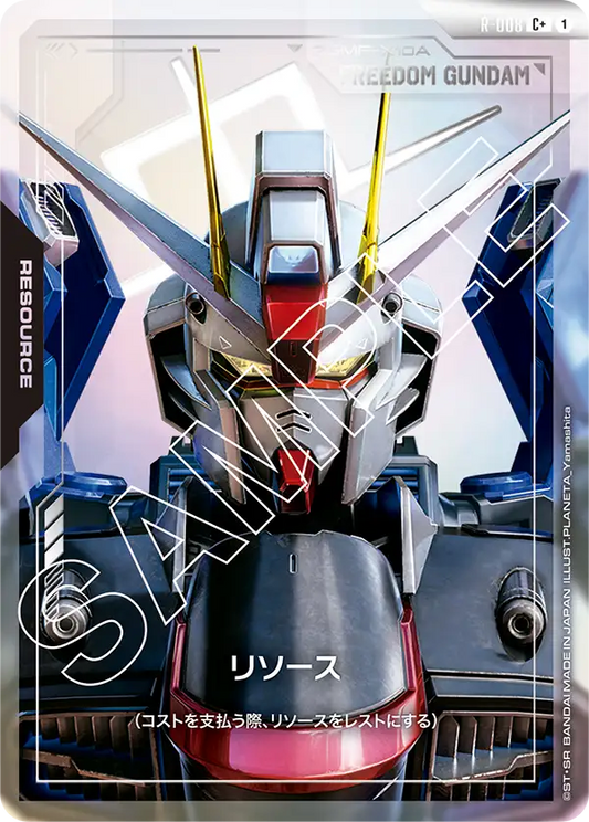 R-008 | リソース | C+