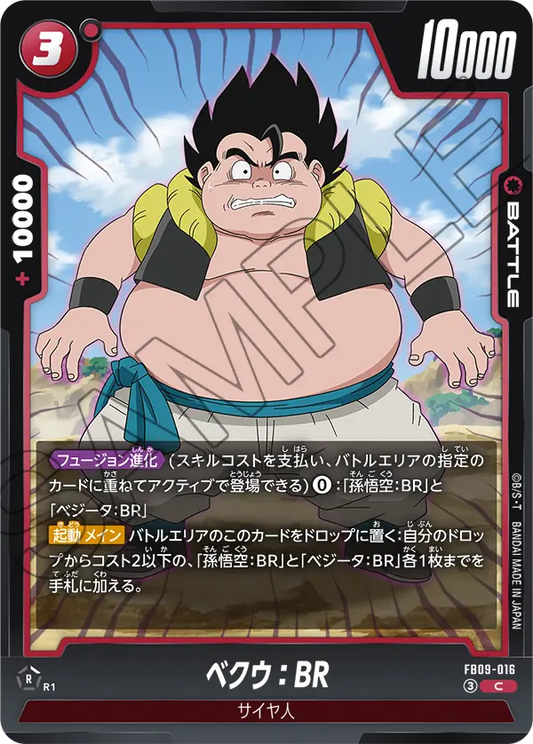 FB09-016 | ベクウ：BR | C