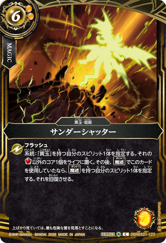 26RBS01-123 | サンダーシャッター  | C