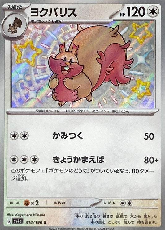 SV4a 314/190 | ヨクバリス | S | JP