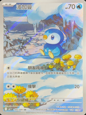M2F 085/080 | 波加曼 | AR | CT