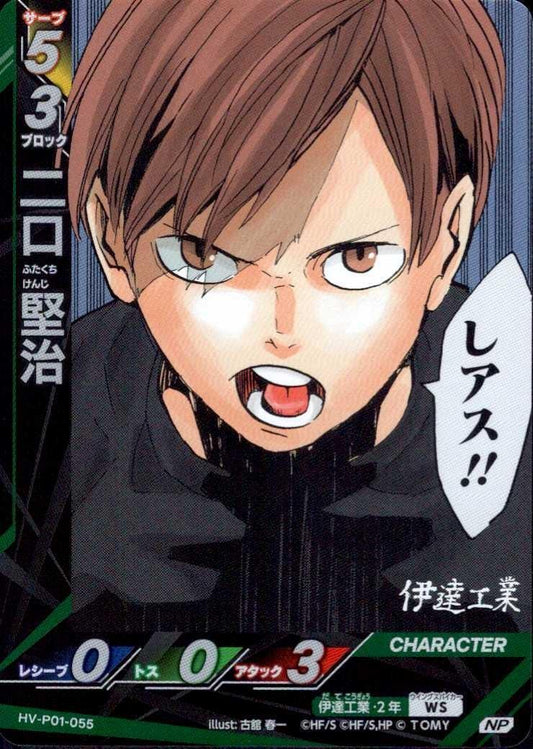 HV-P01-055 | 二口 堅治 | NP