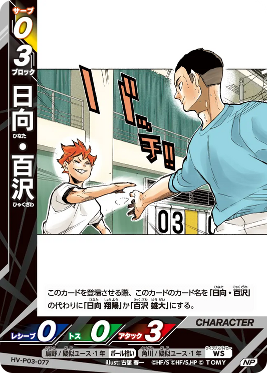 HV-P03-077 日向・百沢 | NP
