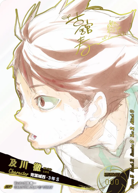 HV-P04-017 及川 徹 | 極P