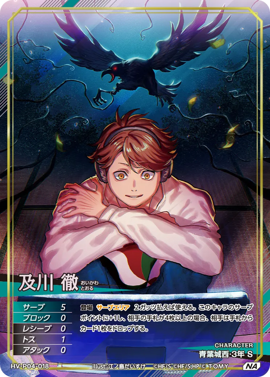 HV-P04-018 及川 徹 | NA