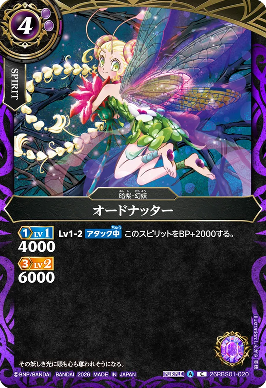26RBS01-020 | オードナッター  | C