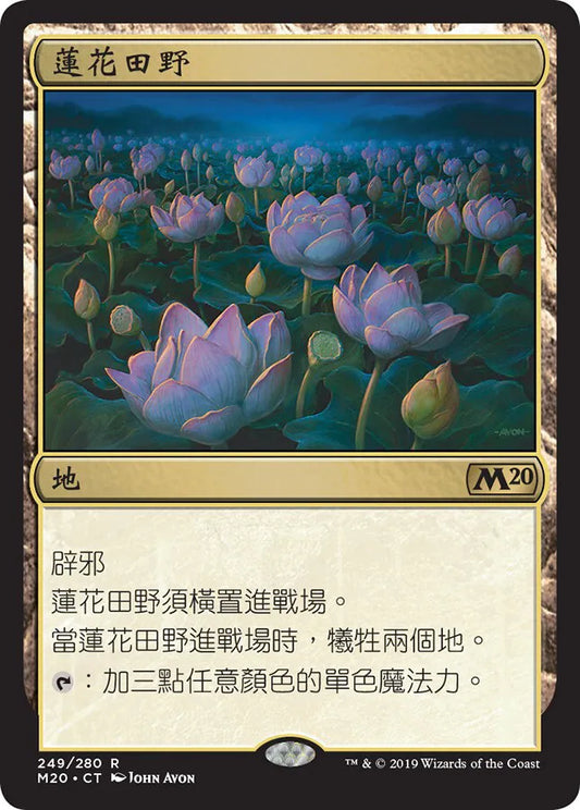 M20-249 蓮花田野 Lotus Field | Rare (CT)