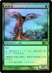 PM11-165★ 極楽鳥 Birds of Paradise | Rare (JP)