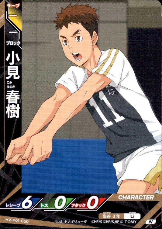 HV-P01-050 | 小見 春樹 | N