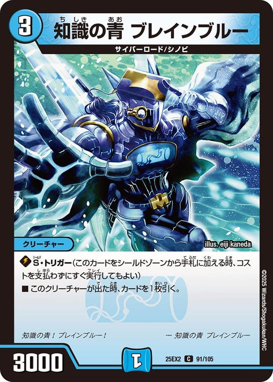 DM25-EX2 91/105 | 知識の青 ブレインブルー | C