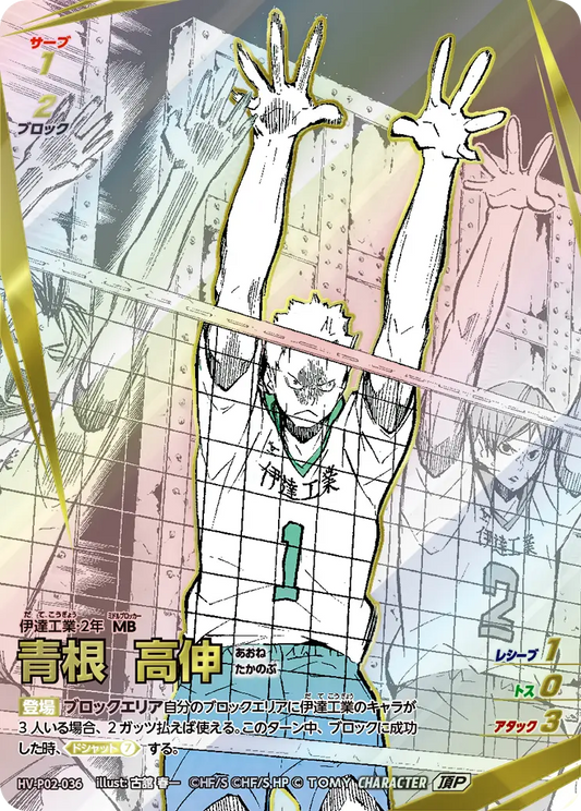 HV-P02-036 | 青根 高伸あおね たかのぶ  | 頂P