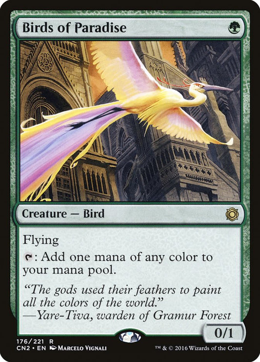 CN2-0176 | Birds of Paradise | EN  | - |