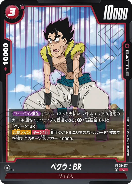 FB09-017 | ベクウ：BR | C