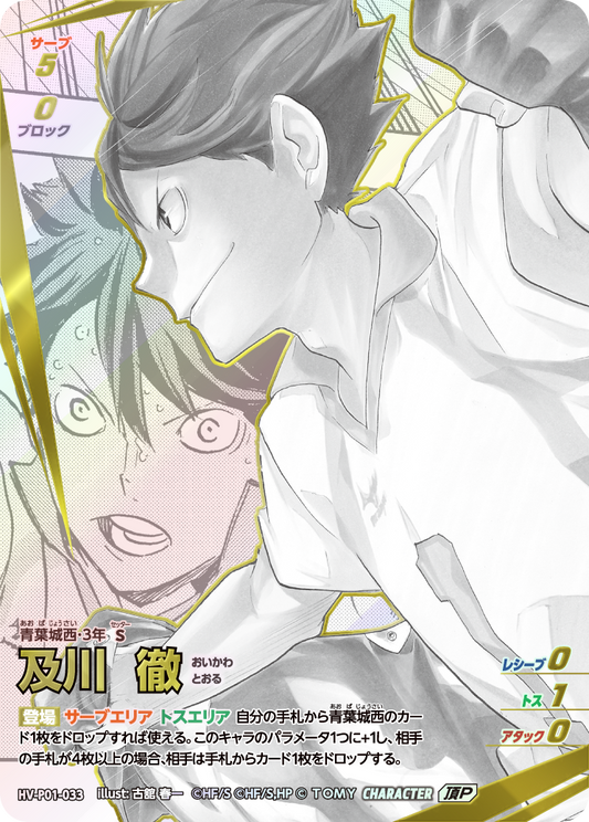 HV-P01-033 | 及川 徹おいかわ とおる  | 頂P