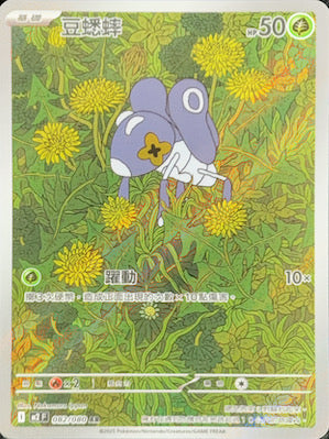 M2F 082/080 | 豆蟋蟀 | AR | CT