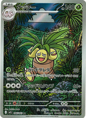 M1L 066/063 | ナッシー | AR | JP