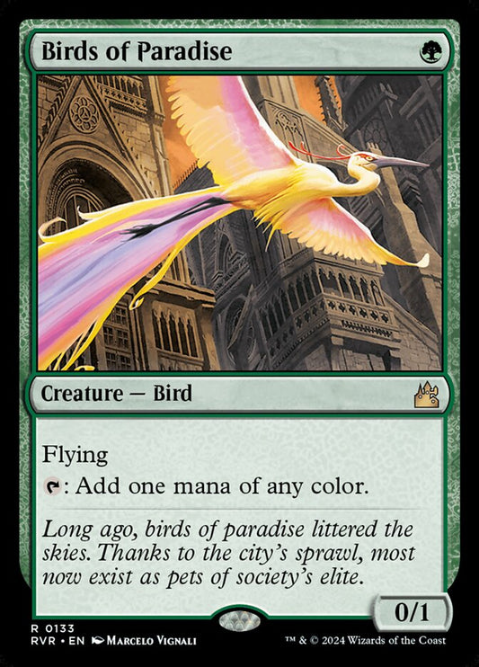 RVR-0133 | Birds of Paradise | EN  | - | Foil