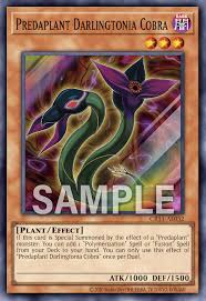 CR11-AE032 | Predaplant Darlingtonia Cobra(捕食植物 蛇瓶草眼鏡蛇) | SR