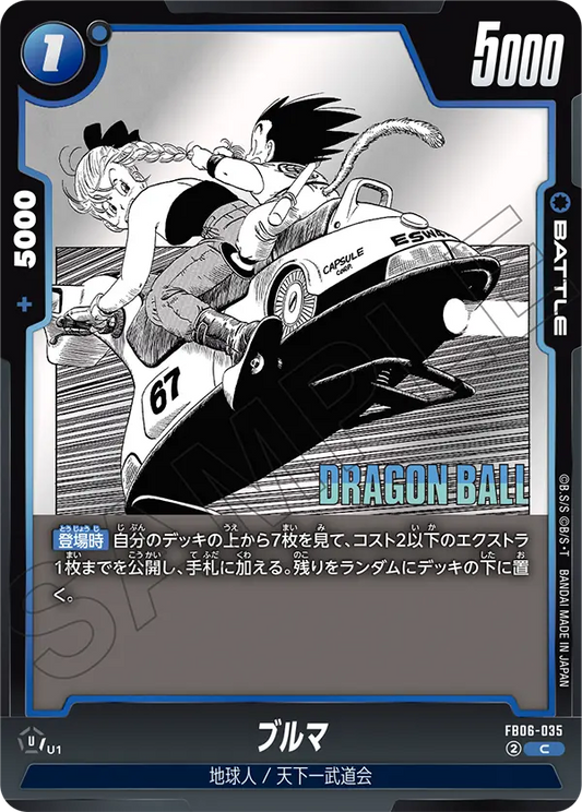 FB06-035 | ブルマ | C
