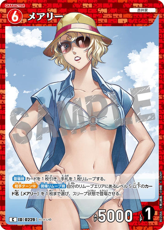 B02066 / 0229 | 瑪麗  | C