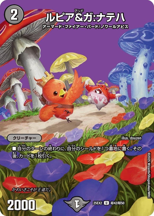 DM25-EX2 超42/超50 | ルピア&ガ:ナテハ | U
