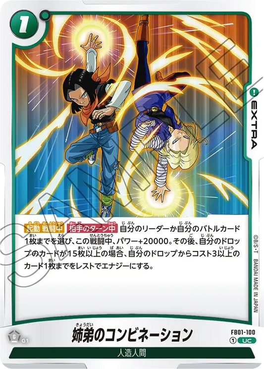 FB01-100 | 姉弟のコンビネーション | UC