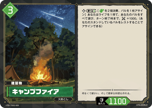 TD02-009 キャンプファイア  | TD