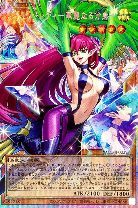 YAC1-JP003 神鷹女郎 華麗的分身 | ORRPSER