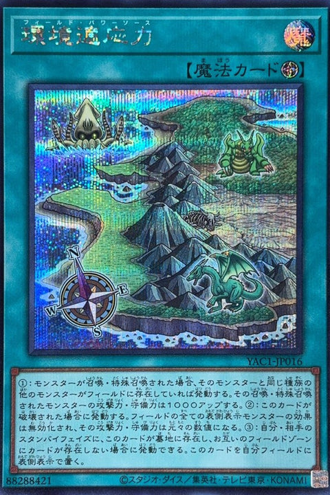 YAC1-JP016 環境適應力 | SER