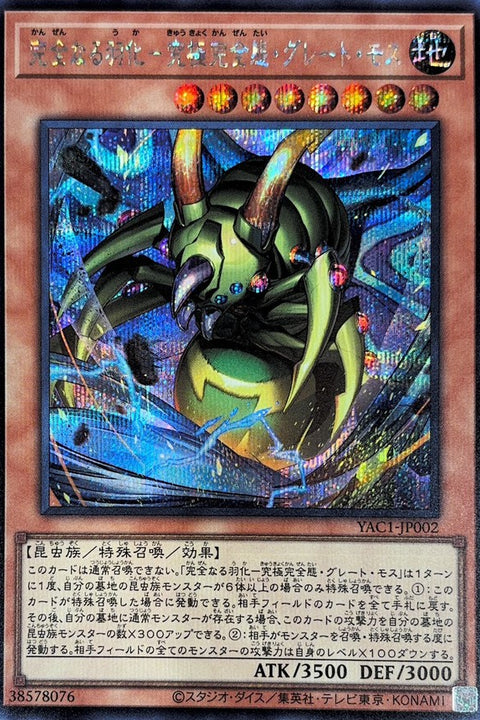 YAC1-JP002 完全羽化 究極完全態大飛蛾 | SER