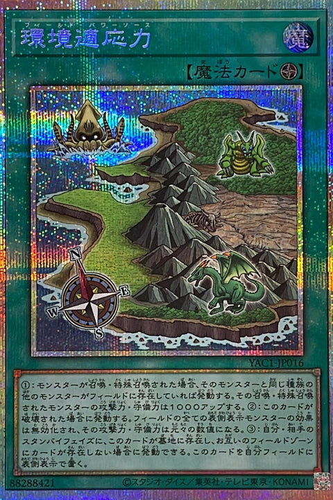 YAC1-JP016 環境適應力 | PSER