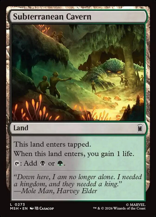 MSH-273 Subterranean Cavern | Common (EN)