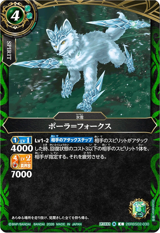 26RBS02-030 ポーラ＝フォークス | C