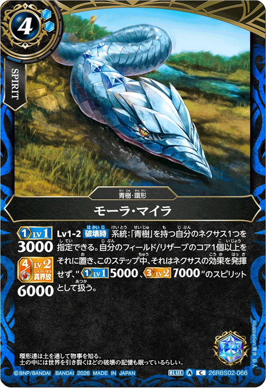 26RBS02-066 モーラ・マイラ | C