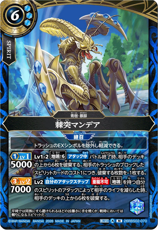 26RBS02-070 棘突マンデア | M