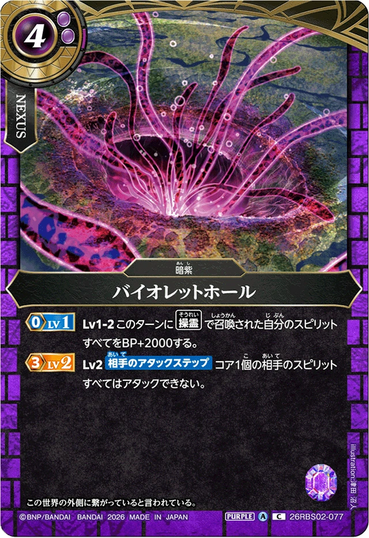 26RBS02-077 バイオレットホール | C