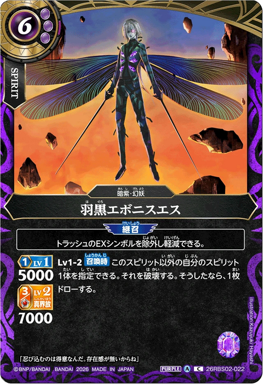 26RBS02-022 羽黒エボニスエス | C