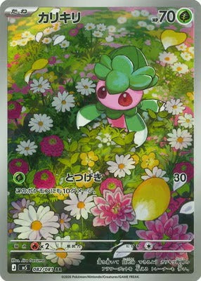 M5 082/081 カリキリ | AR | JP